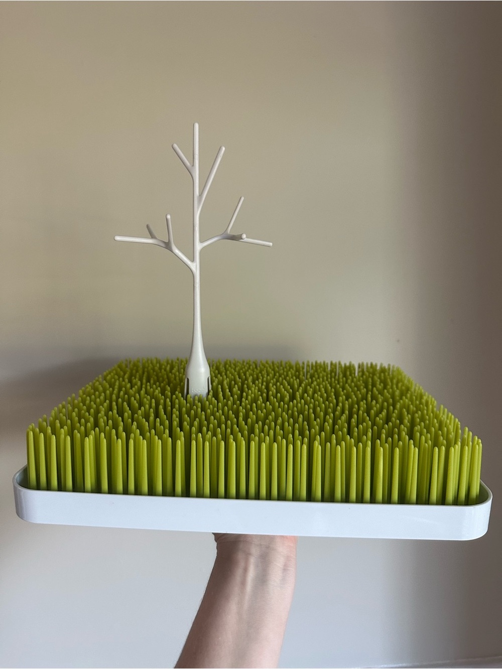 Boon grass lawn and tree accessory